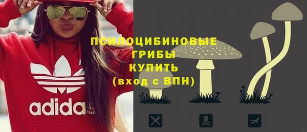 дурь Горняк