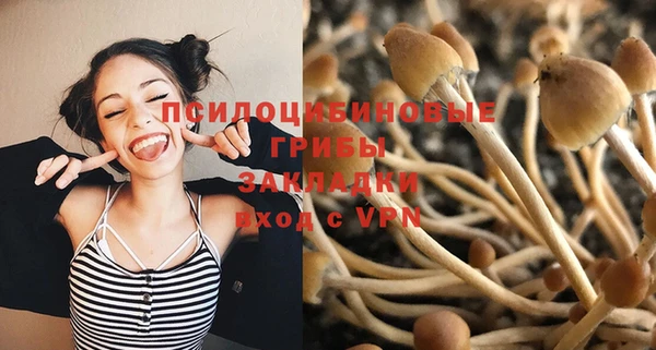 дурь Горняк