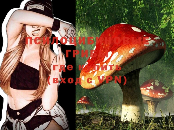 дурь Горняк
