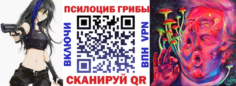где найти   omg ссылка  Псилоцибиновые грибы Cubensis  Печоры 