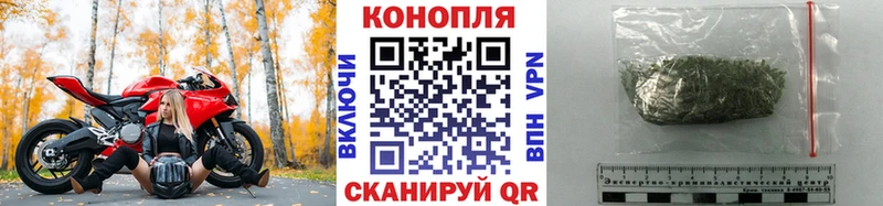 купить закладку Печоры Бошки Шишки SATIVA & INDICA